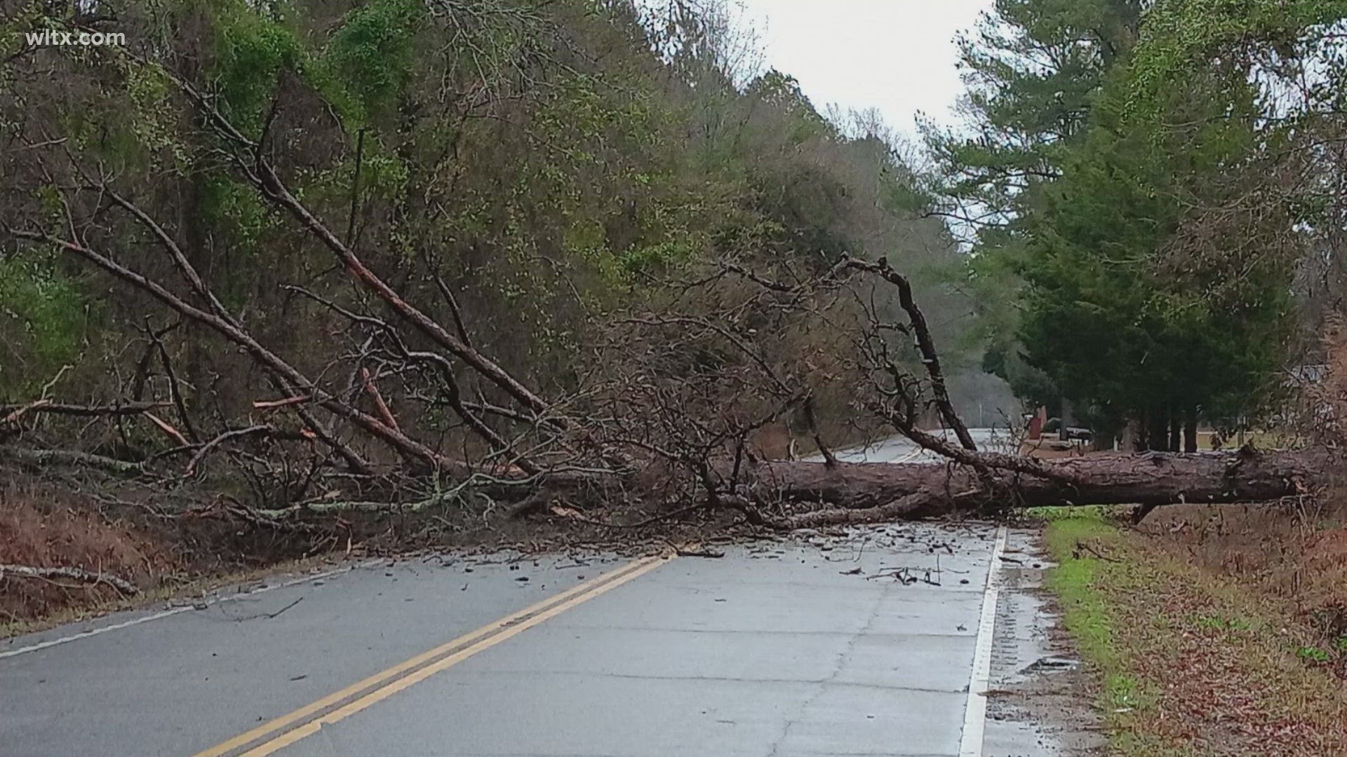 WLTX viewers sent in photos of the storm damage.