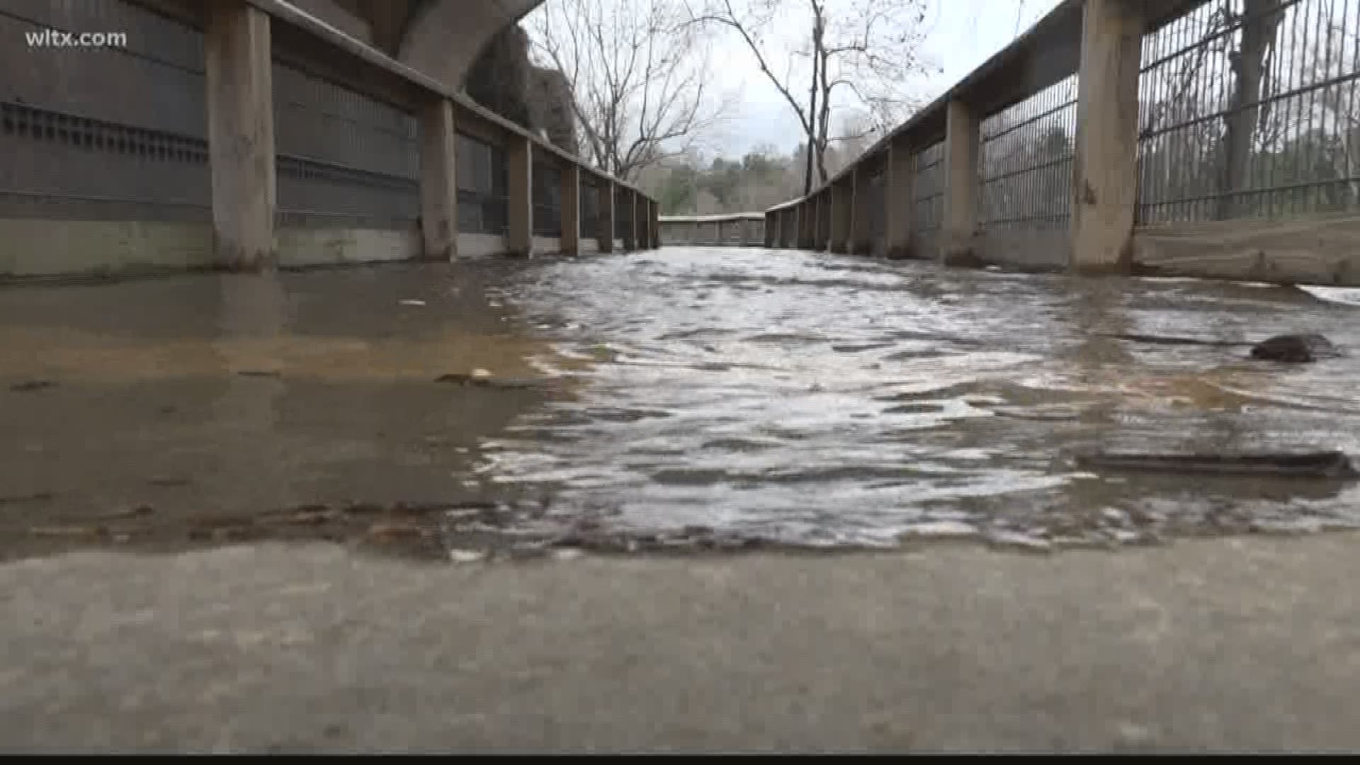 Portions of the Cayce and West Columbia Riverwalk are closed after several days of rain created flooding in the area.