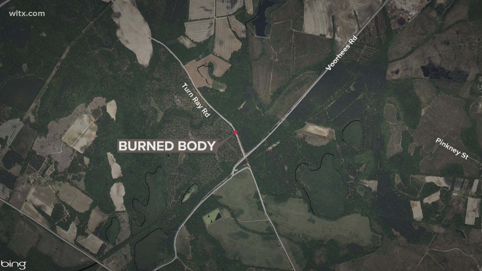The remains were found in Bamberg county.