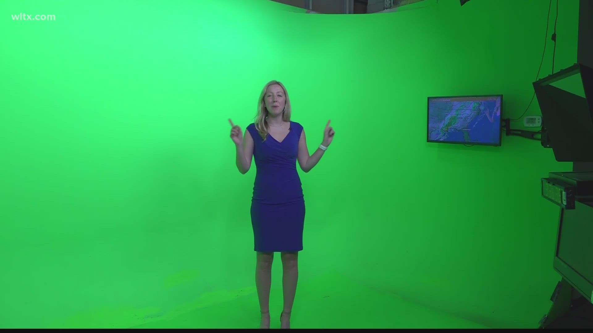 WLTX meteorologist Erin Walker explains why green is not a color that can be found in her closet.
