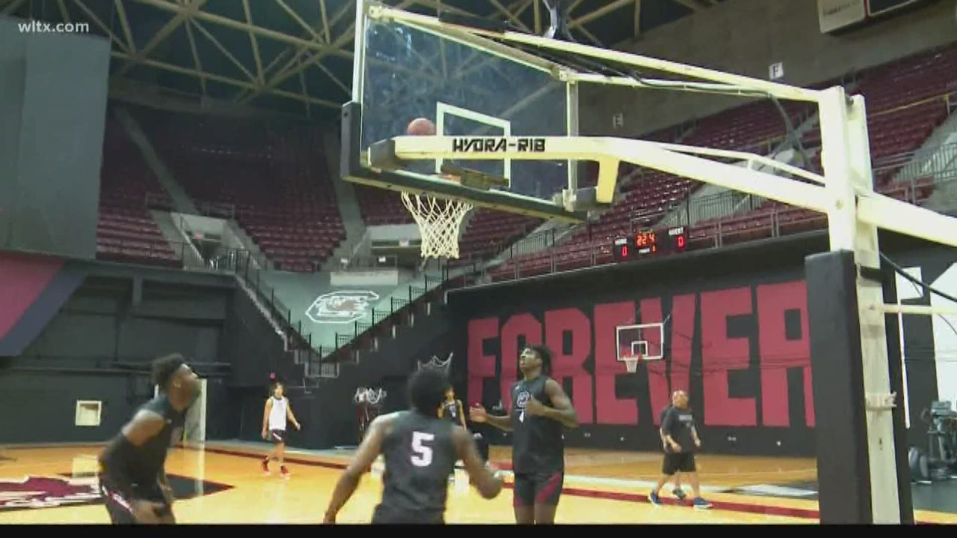 The South Carolina men's basketball team is in its second week of the preseason.