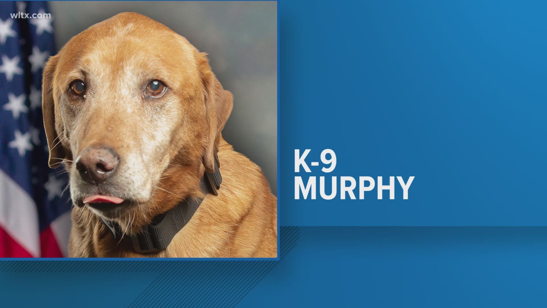 Murphy was with the department since 2017 and was assigned to his partner/handler Sgt. Cameron Bryant.