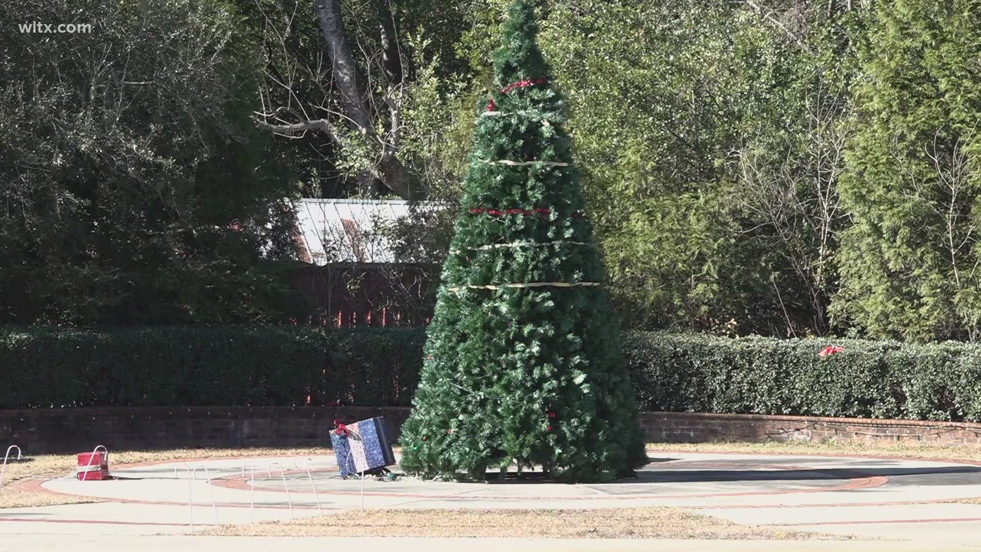 The town has been frustrated by the Mayor of Swansea for several years, and now the town's Christmas tree has become the last straw for many. 