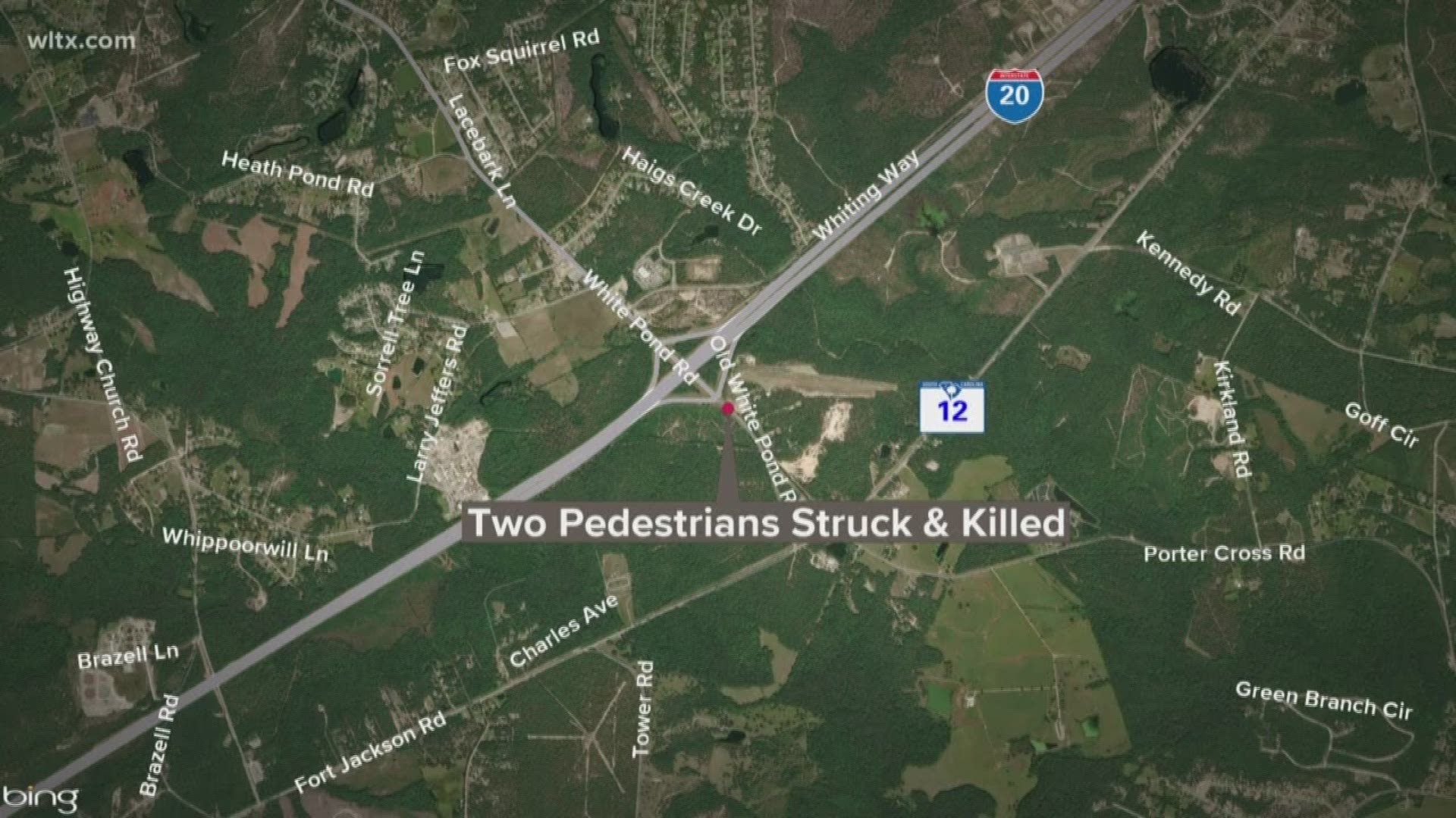 Two pedestrians were hit and killed by two cars early Friday morning on White Pond Road in Kershaw county.