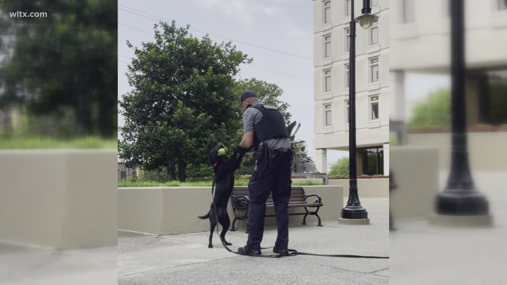 SLED K9 Coba was killed in the line of duty this week.  Officers talk about the bond they have with their four legged partners.