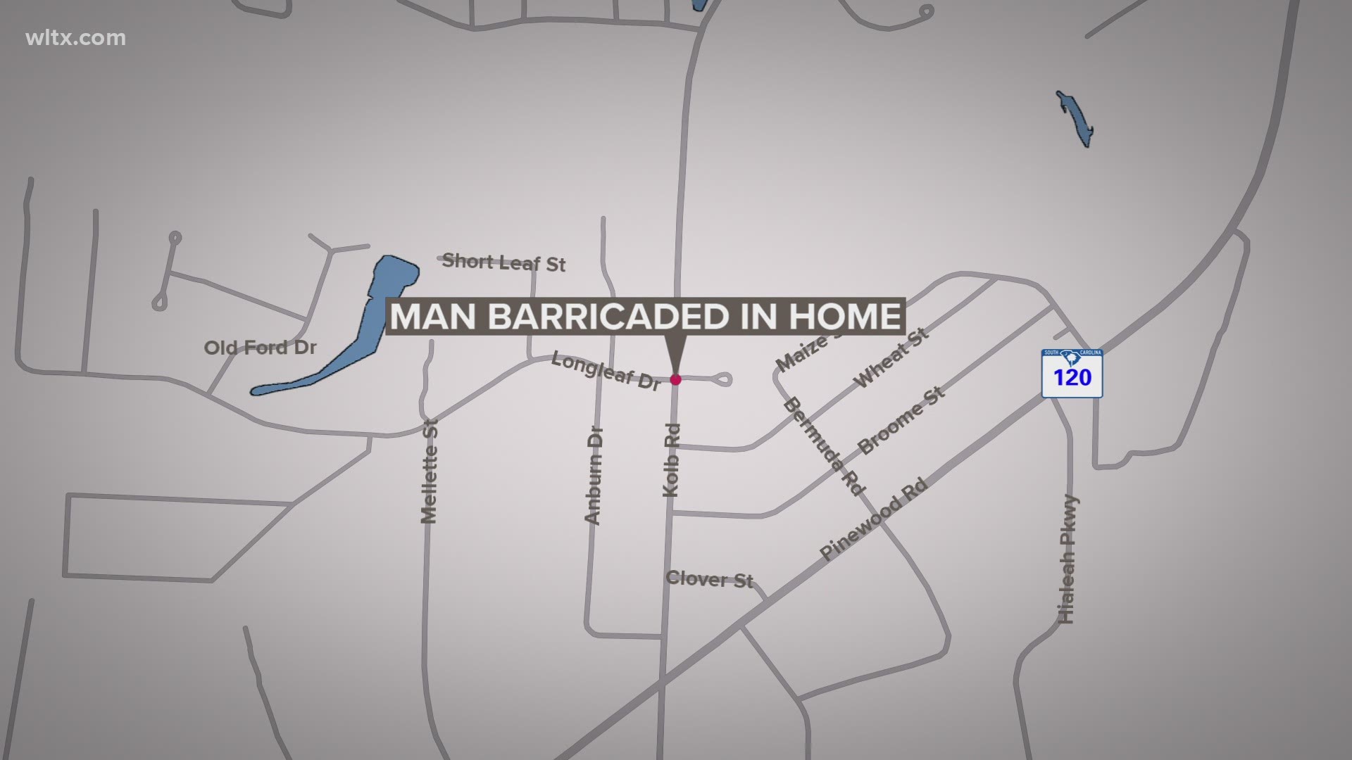 An armed man was taken into custody after barricading himself inside a Sumter County home on Friday night.