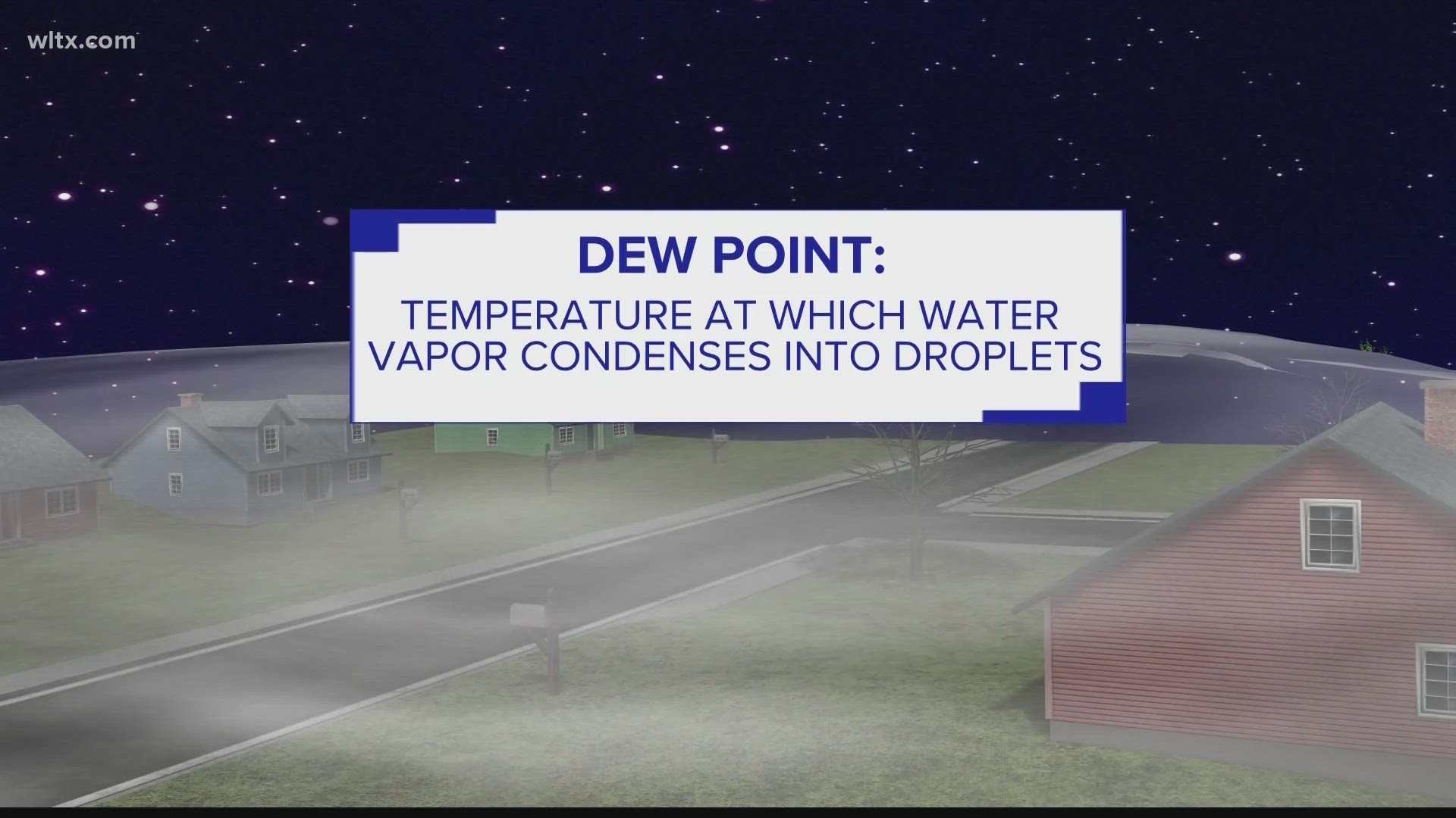 Fog emerges when the air at the surface cools to the dew point, the temperature at which water vapor condenses into droplets.