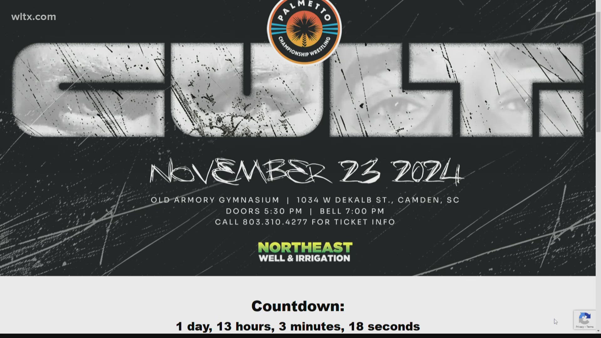 Palmetto Championship Wrestling is celebrating nine years this Saturday, Nov. 23. The gym helps train the next generation of wrestling superstars