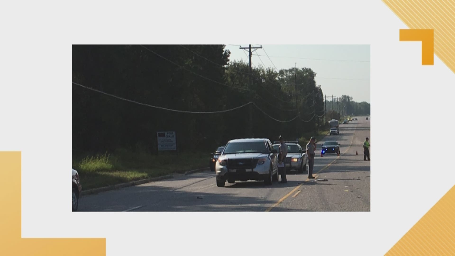 A person died after being struck by a car on Highway 321 in Lexington County.