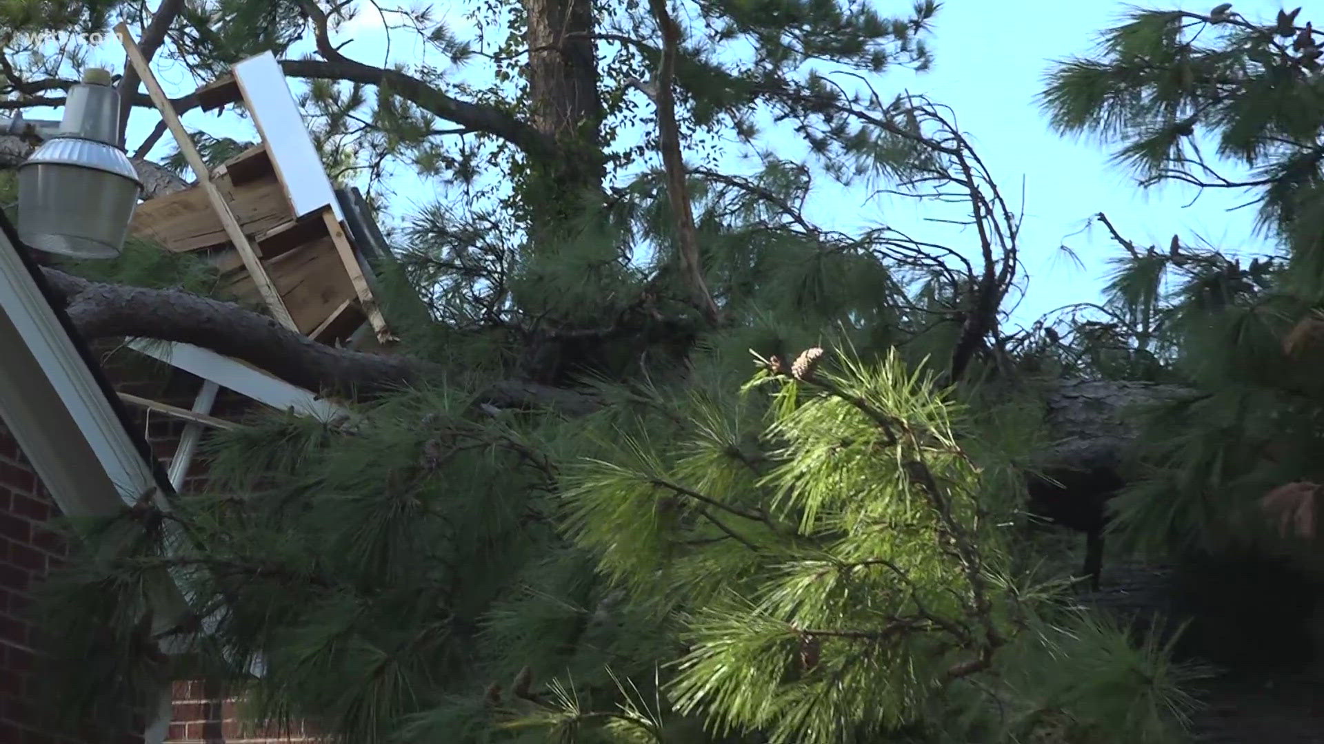 The Forest Acres area was hit hard by damage from Hurricane Helene with severe flooding and many downed trees.