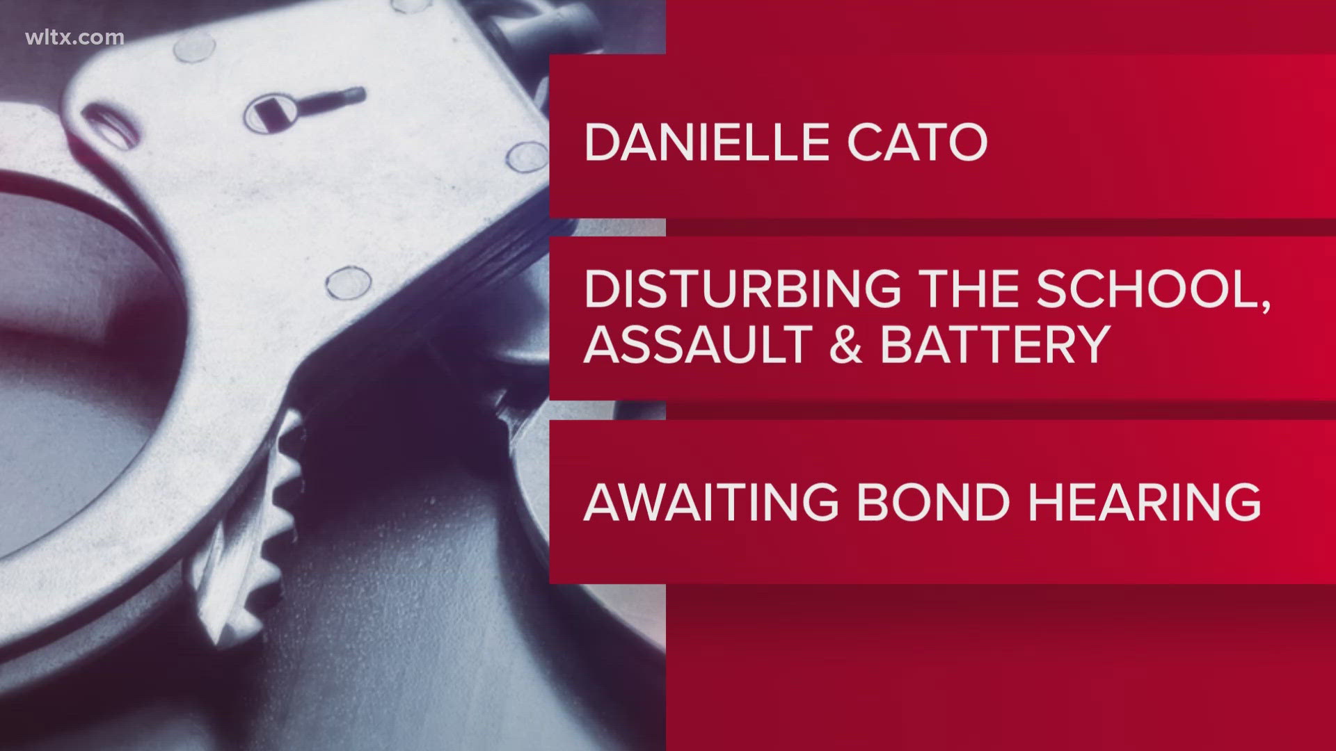 Danielle Cato, 34, was arrested and charged with disturbing the school.