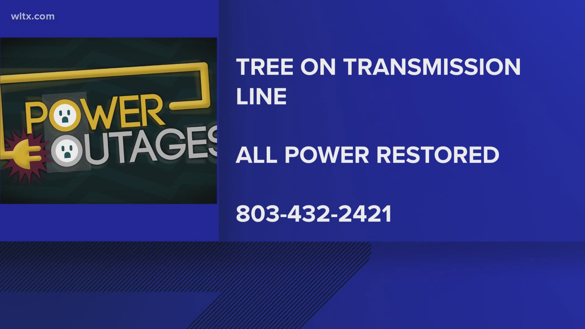 A tree fell on a line disrupting power service for some Camden residents.