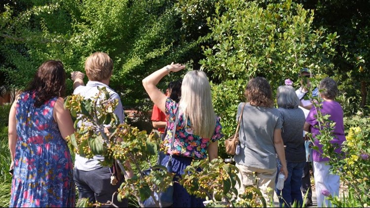 Take a tour of the Hampton-Preston Garden in Columbia