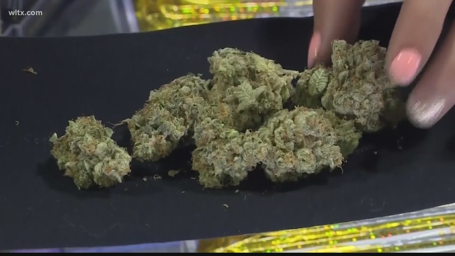 Medical marijuana law needed in South Carolina, group says | wltx.com