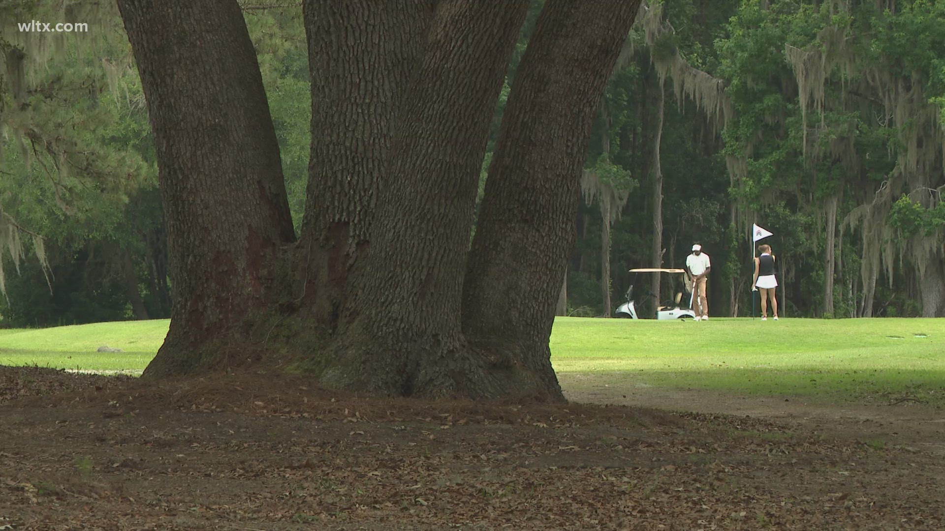 With the Arnold Palmer Cup teeing off at the Congaree Golf Club in Ridgeland, another course in the area will offer free rounds of golf for this week.