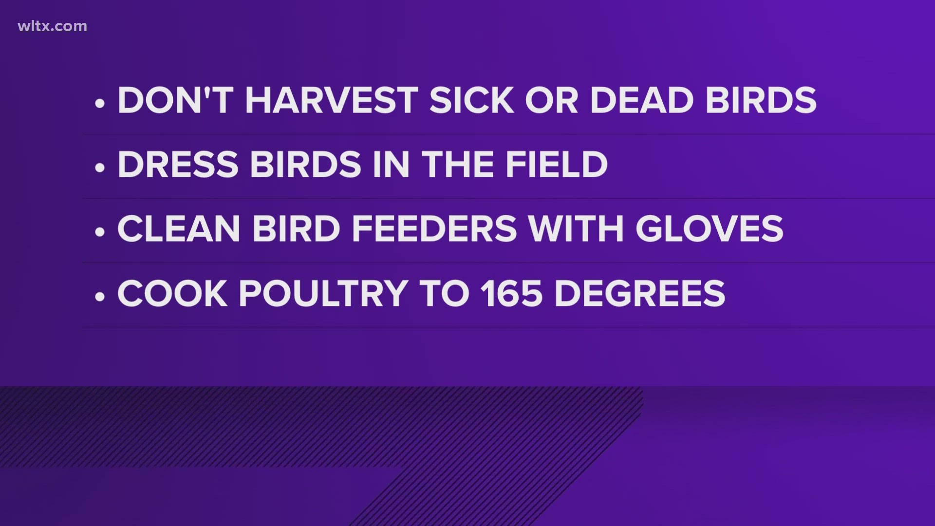 How to prevent the spread of avian flu from wild birds to domesticated flocks, tips from SC Department of Natural Resources