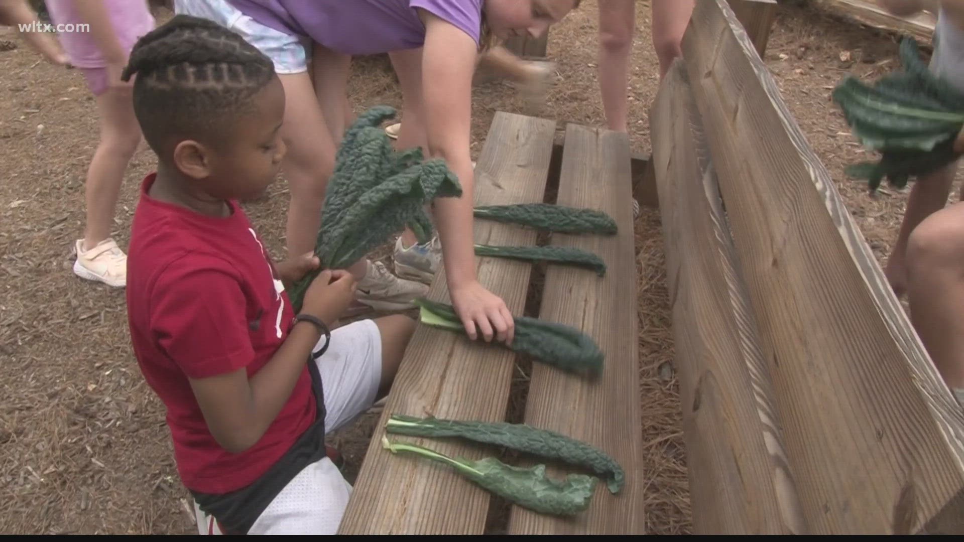Students and teachers got to reap the hard work of gardening as they got to take home some of their harvest.