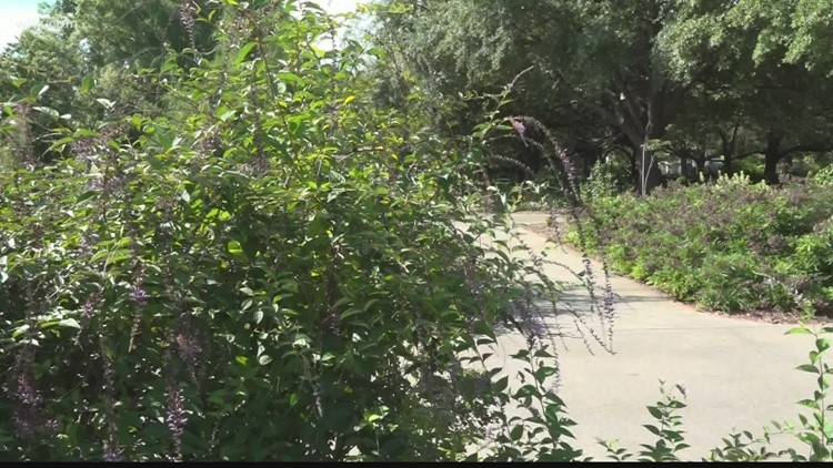 Gandy's Gardeners meet and greet