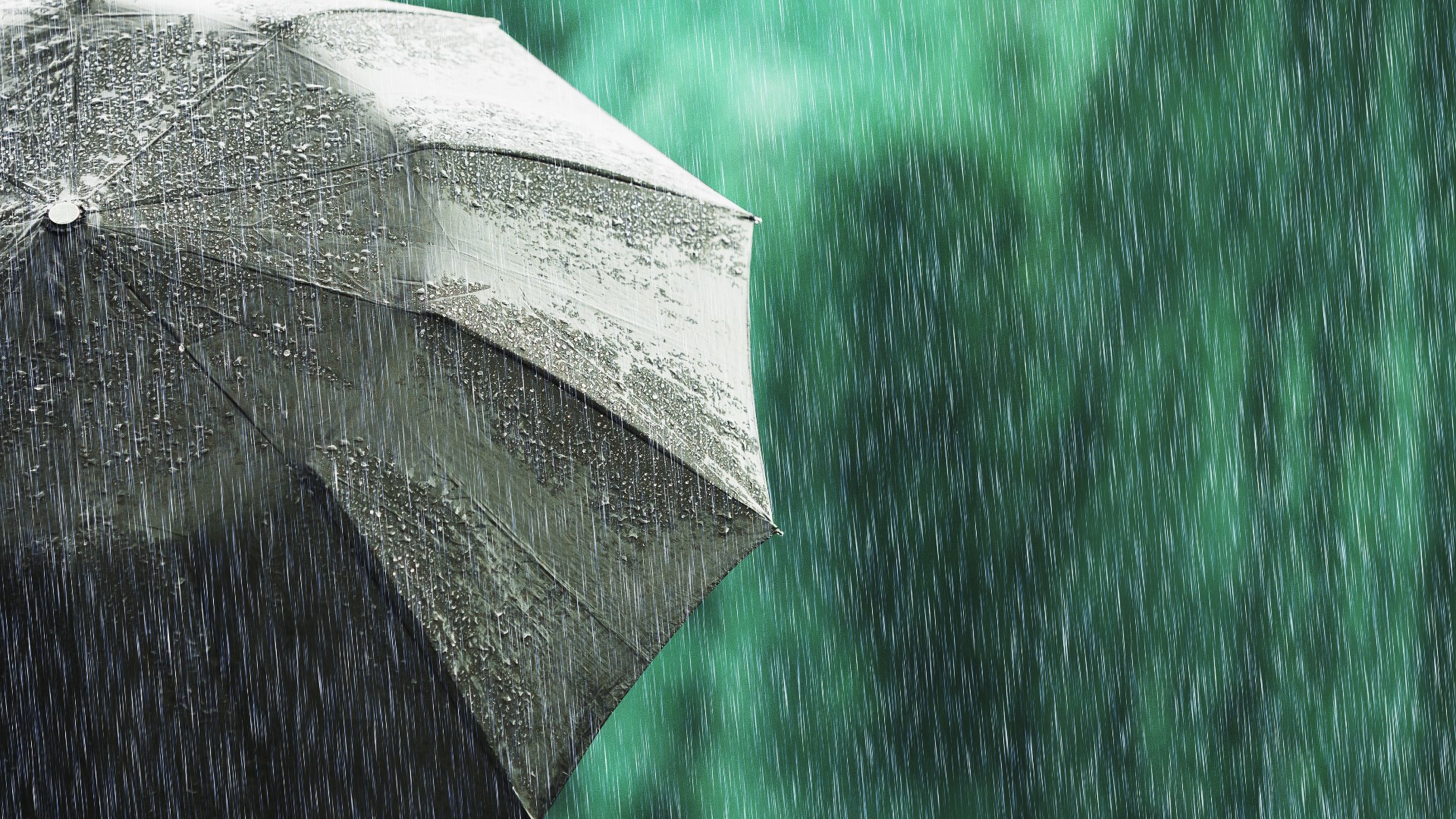 When Raining Can you smell rain? Here's the science behind that familiar earthy ...