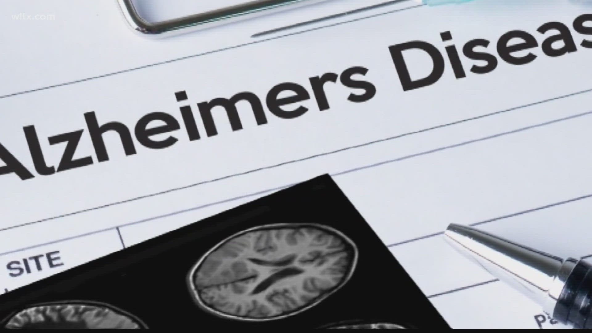 South Carolina's three research universities are partnering to create the states first Alzheimer's disease research center.