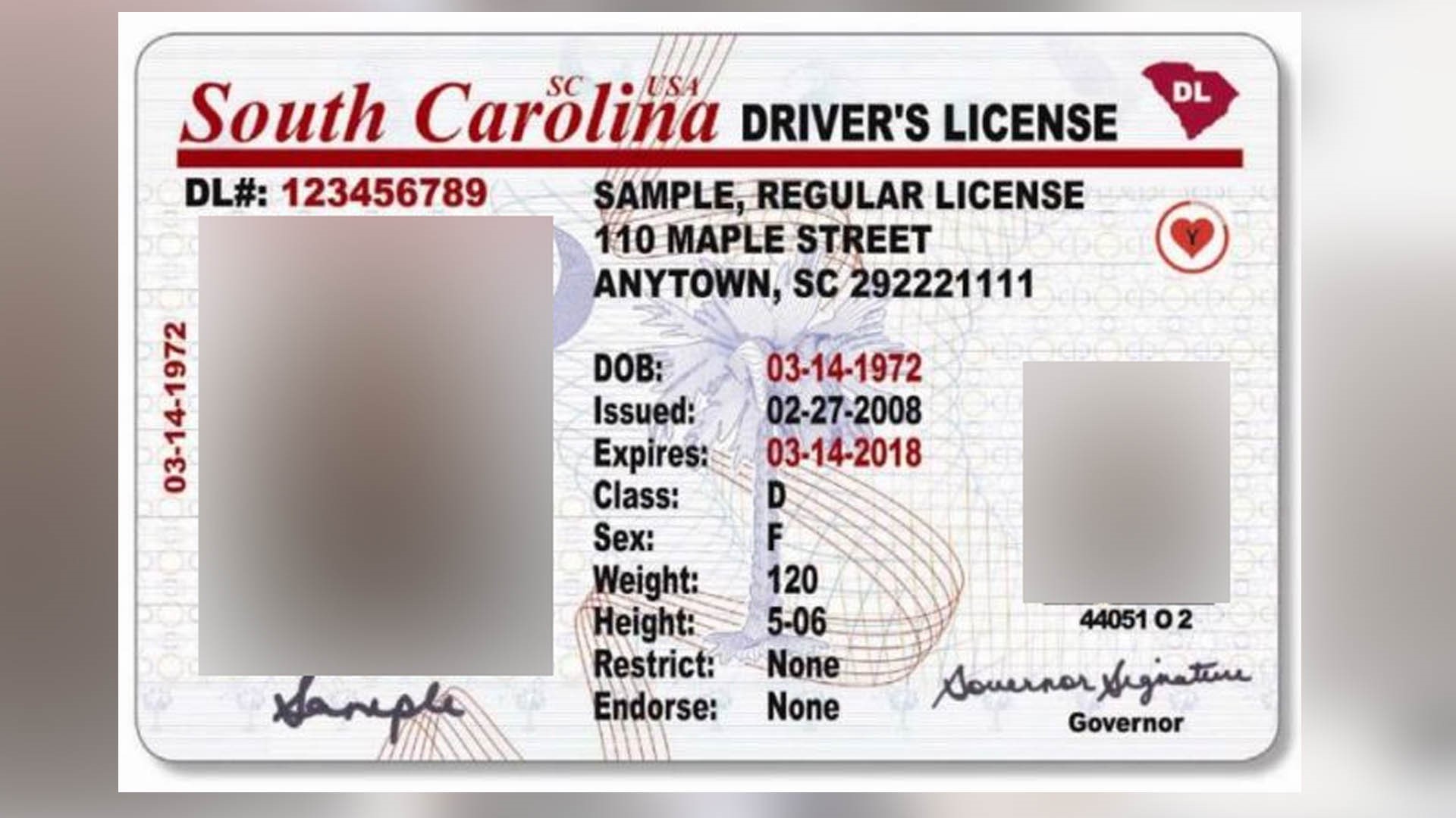 online-driver-s-license-renewal-now-available-for-most-sc-drivers