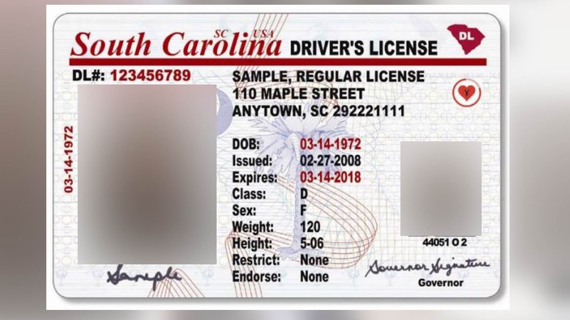 Online Driver s License Renewal Now Available For Most SC Drivers 