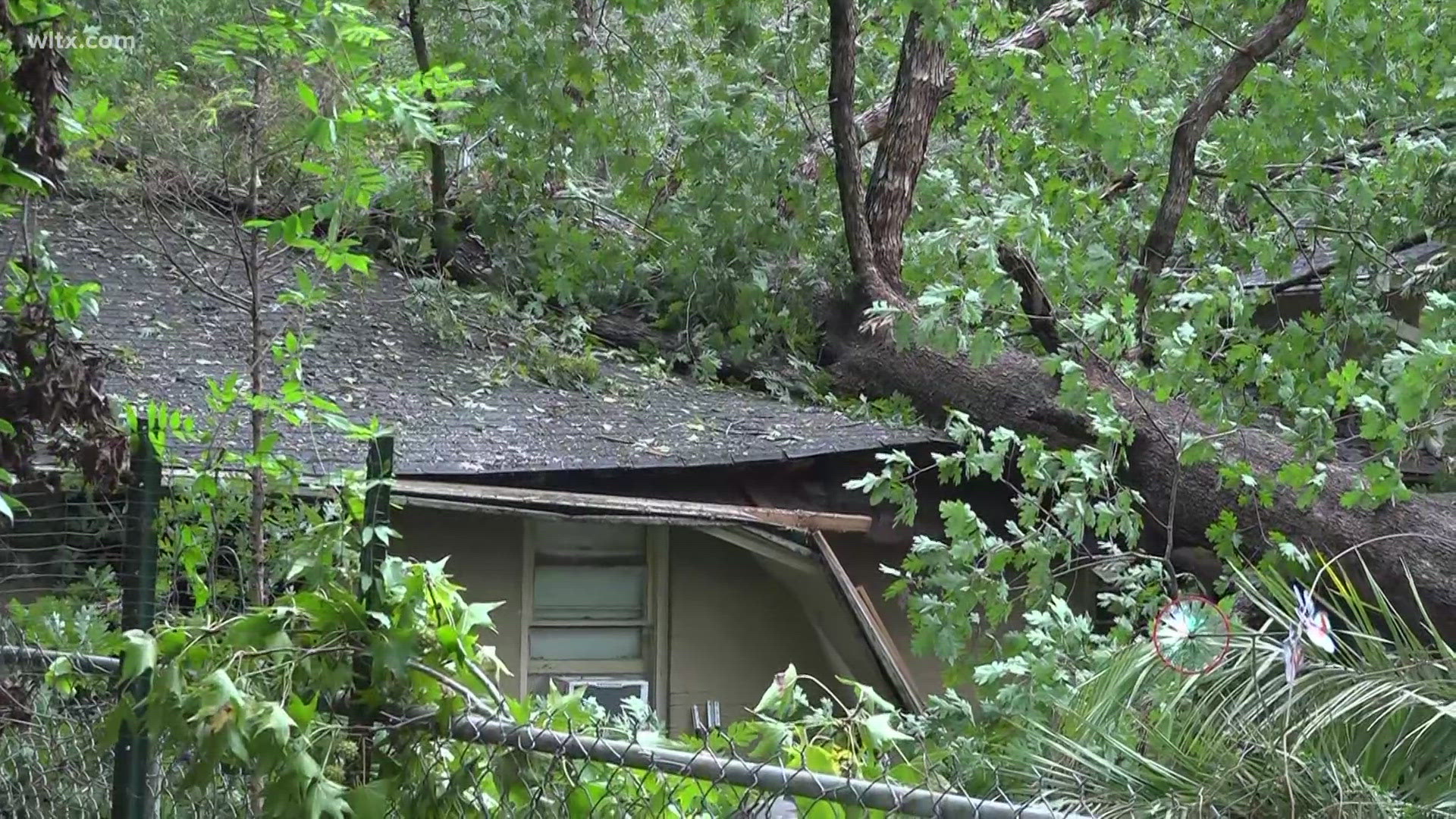 Helene may not have made a direct hit on South Carolina but it's left significant damage.