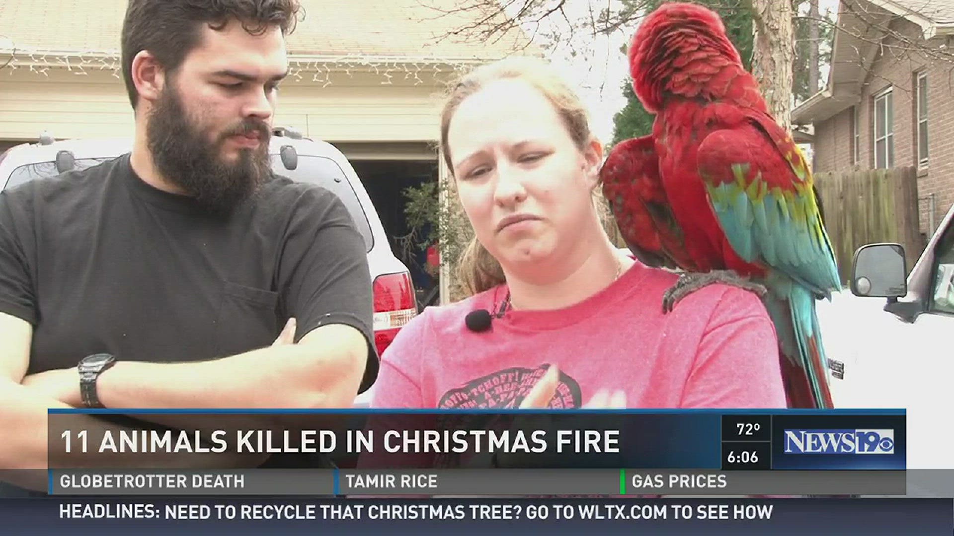 A family lost 11 pets after their home caught on fire. J