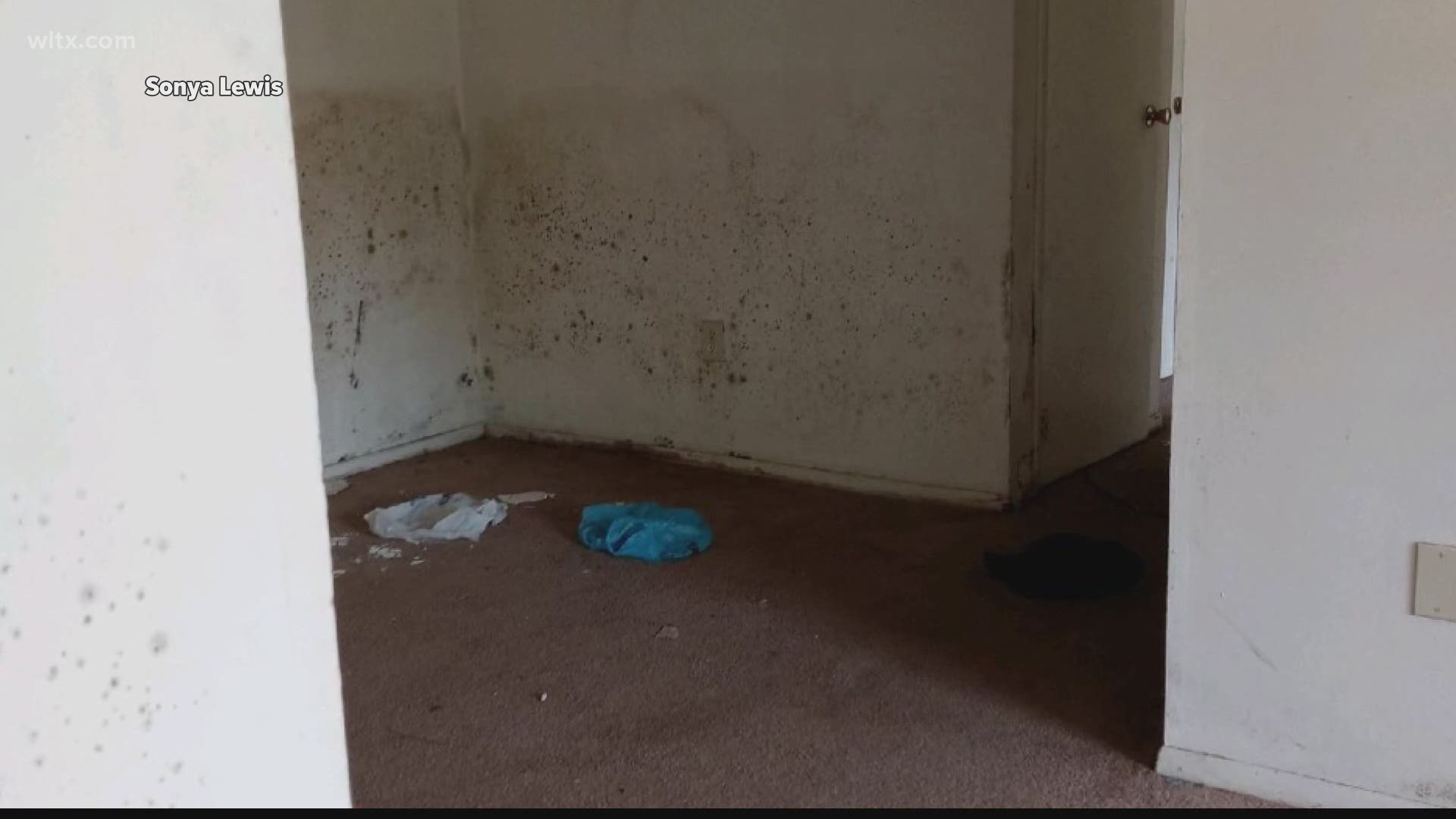 A community group is hoping to see problems fixed at a Columbia apartment complex with previous reports of mold and unlivable conditions.