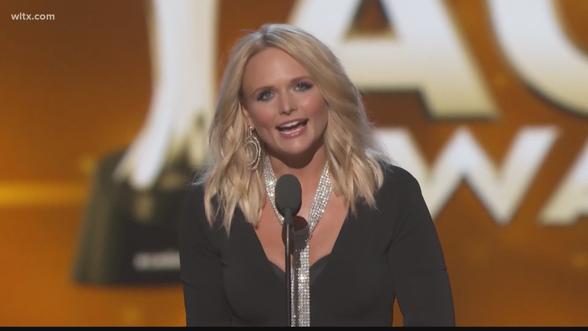 Miranda Lambert paused in the middle of a concert to call out fans for taking a selfie.