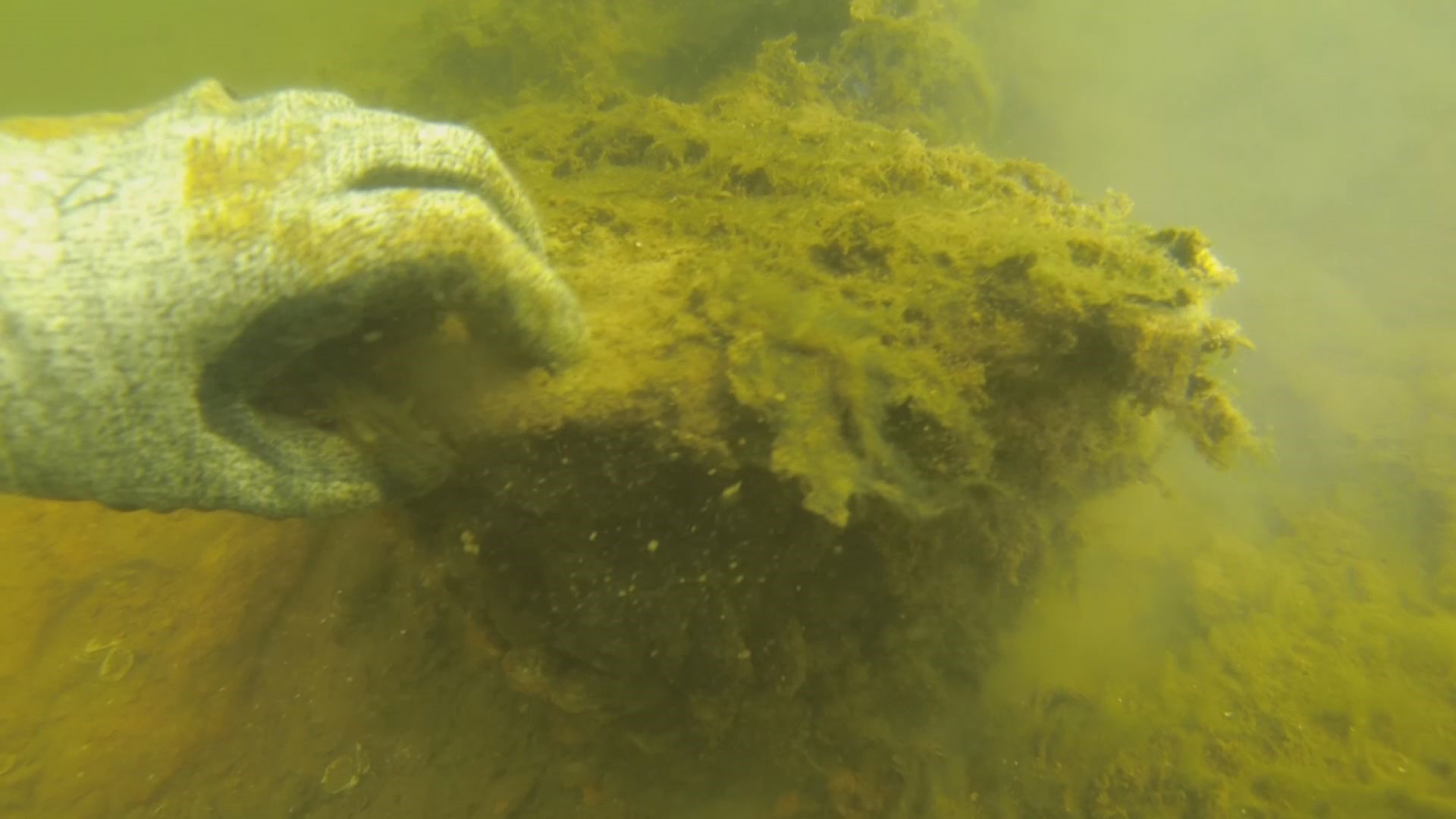 Divers Find Lost Towns Under Lake Murray