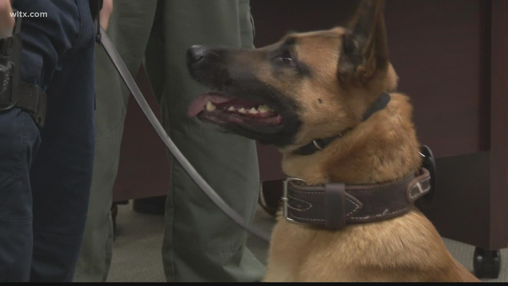 Forest Acres swears in first K9 officer