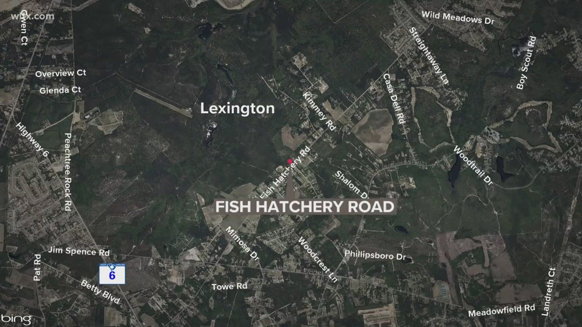 Man killed in multi-vehicle crash in Lexington County identified | wltx.com