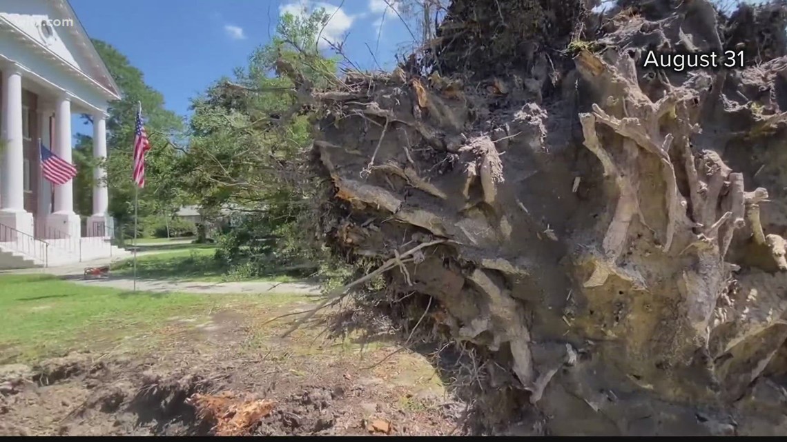 Holly Hill Church recovers from Tropical Storm Idalia - Vimarsana News