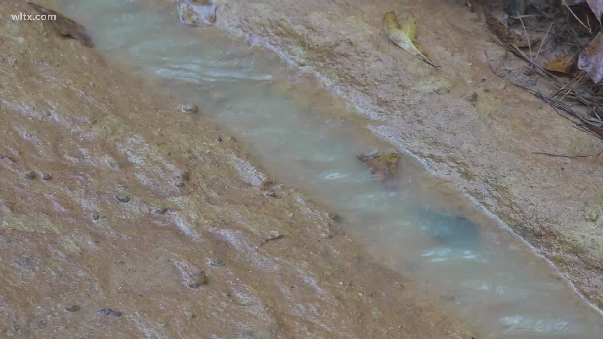 The roads were damaged during last month's floods, now one of them may remain closed forever, Longbranch Road. 