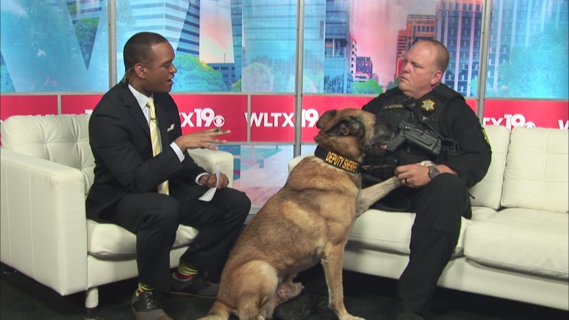 LT. Kevin Hoover, with the Richland County Sheriff's Department, brought in his friend, Arko, to discuss how you can support the 7th Annual Guardians of the Night K-9 run walk.