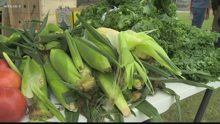 Summer program that provides fruits and vegetables to seniors sees increased funding