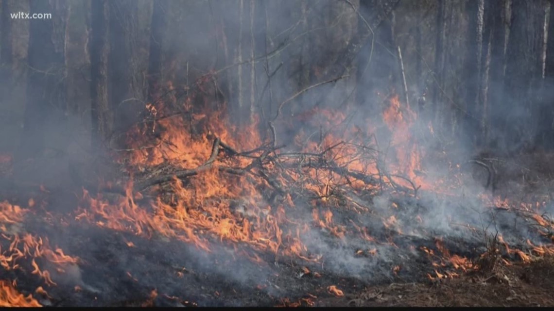 Prescribed controlled burns in Columbia area - Vimarsana News
