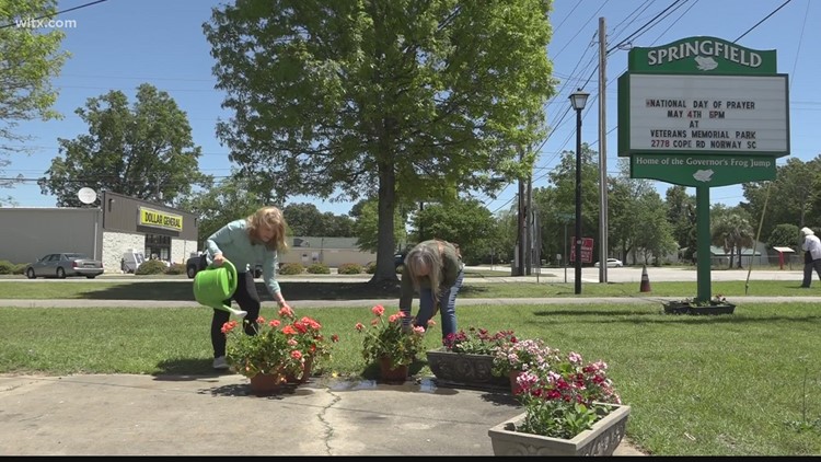 Garden Club helping to beautify Springfield