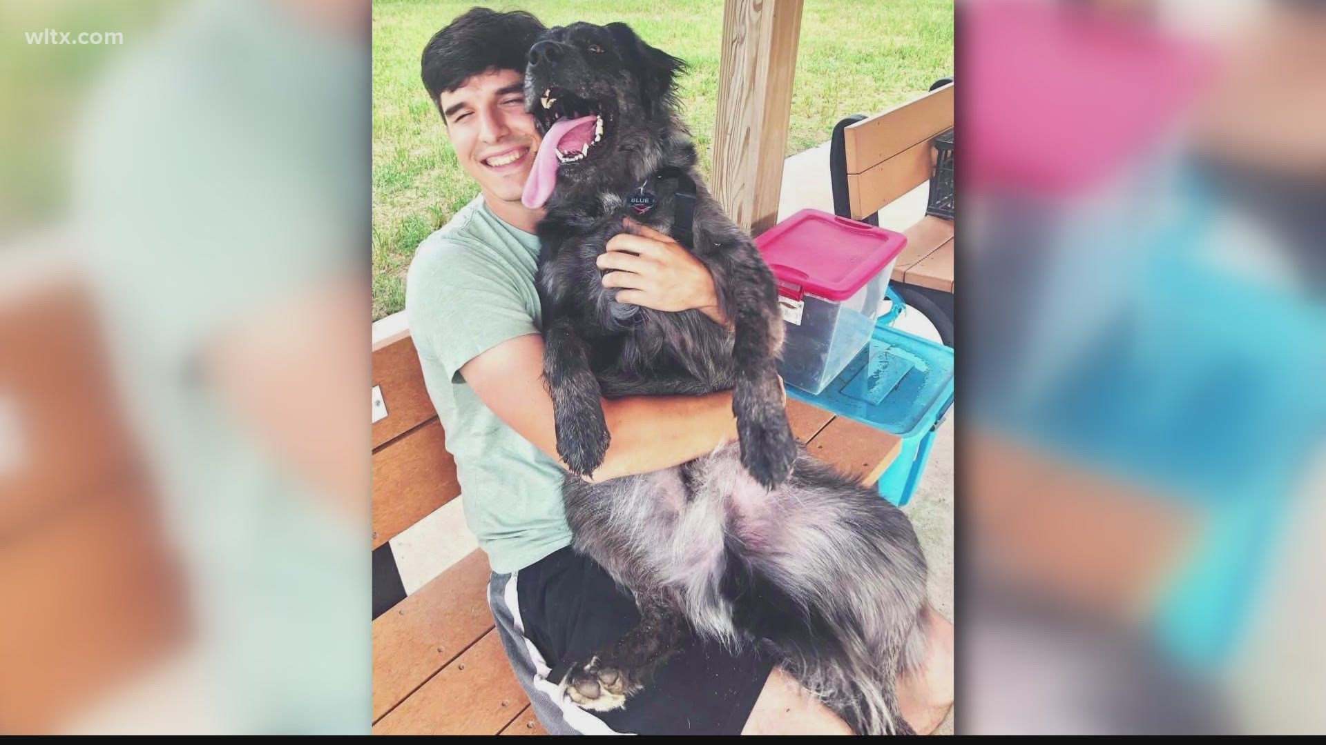 26-year-old Tucker Roundtree Morris was last seen October 26 by coworkers at his workplace, SC Pet Food Solutions, in Ward, SC.