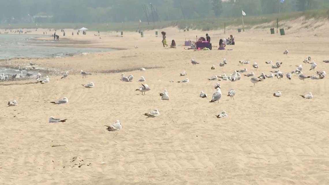South Carolina tourism up but still struggling for workers - Vimarsana News