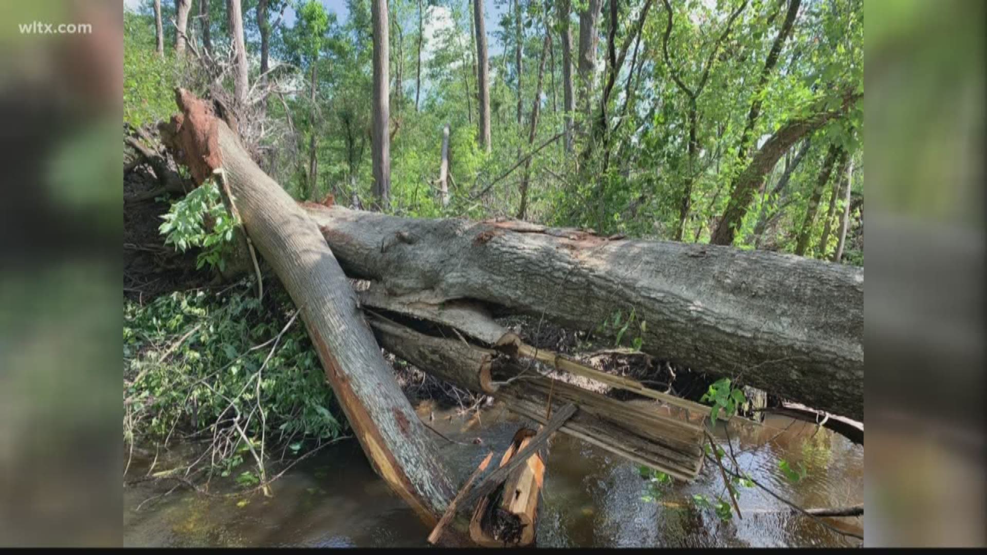 County officials are working together on how to cleanup the popular waterway.