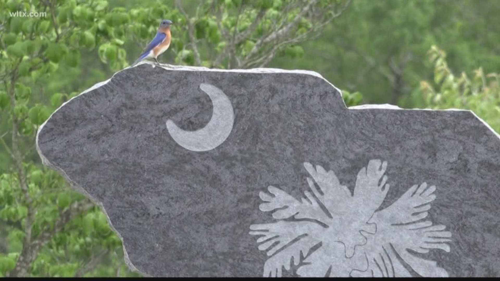 In the cremation section of one local cemetery, a new spot is reserved for the biggest teams in the state.