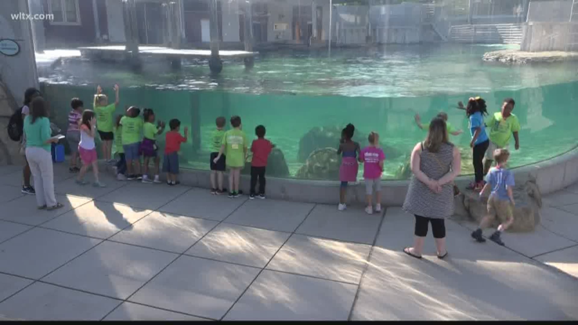 Riverbanks Zoo could see a 60 percent decrease in funding.