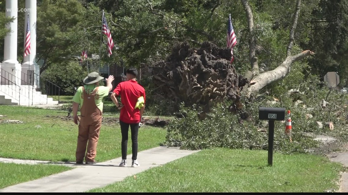 Cleanup continues in Orangeburg after Tropical Storm Idalia | wltx.com