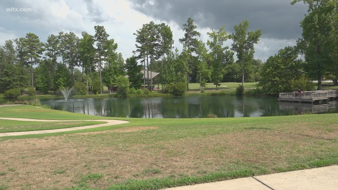 Blythewood task force eyes overhaul of large events after safety and violence concerns