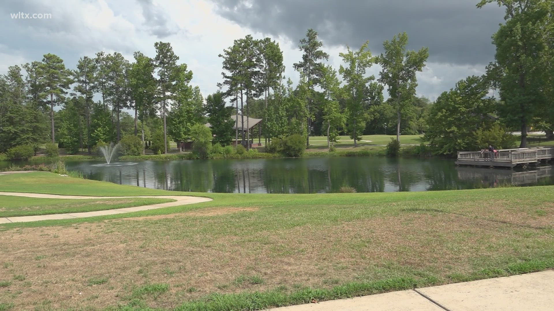 Town leaders in Blythewood are looking to make the community park safer after an incident on the Fourth of July.