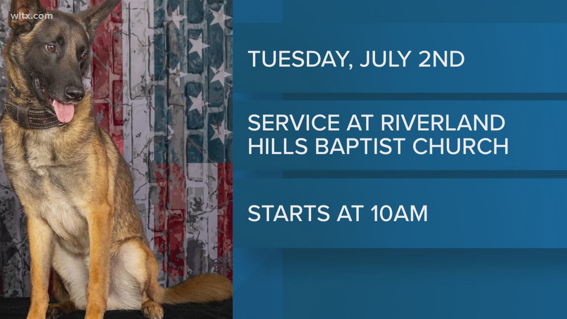 Details for funeral of K9 killed in the line of duty | wltx.com