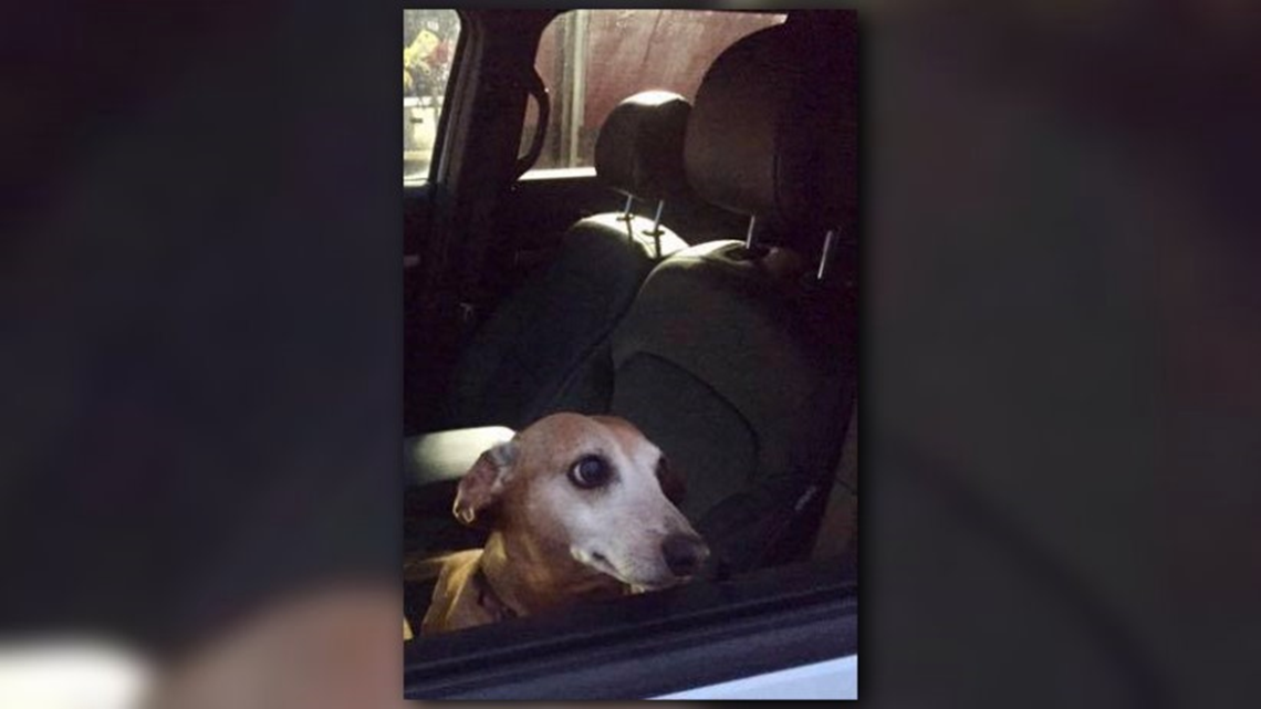 Dog's Barking Alerts Family to House Fire | wltx.com