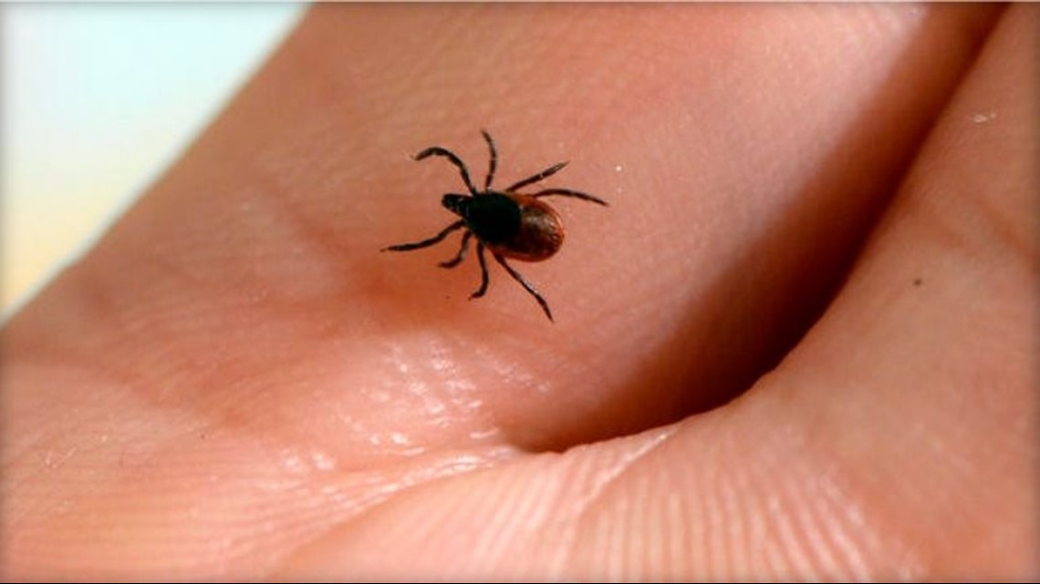 Study Confirms This Method of Repelling Ticks Really Does Work